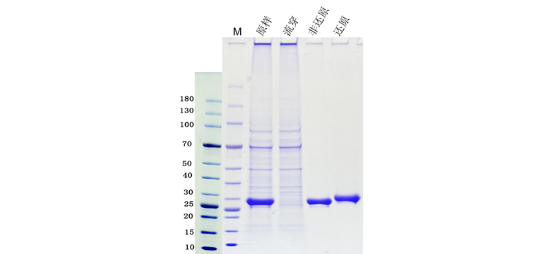 1748507232159249.png 图片1.png